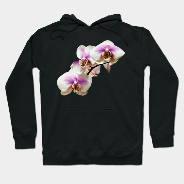 Pale Magenta and White Orchids Hoodie by SusanSavad